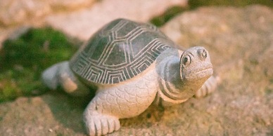 Guesthouse Hana Nishijin