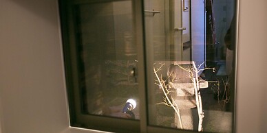 Guesthouse Hana Nishijin