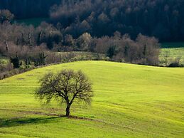 Azienda Agricola Pietra Serena B&B