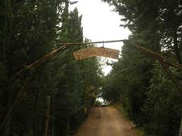 Azienda Agricola Pietra Serena B&B