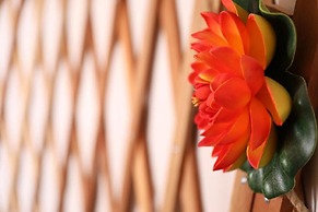 Azienda Agricola Pietra Serena B&B