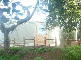 Azienda Agricola Pietra Serena B&B