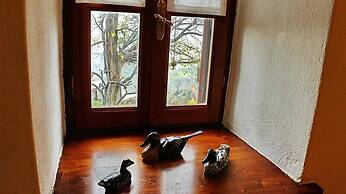 Archontiko Stafylopati