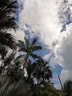 Omega Tours Adventure Company & Eco Jungle Lodge