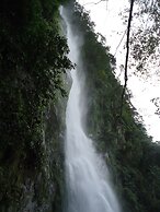 Omega Tours Adventure Company & Eco Jungle Lodge