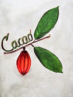 Omega Tours Adventure Company & Eco Jungle Lodge