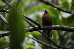 Omega Tours Adventure Company & Eco Jungle Lodge