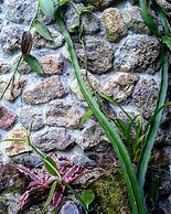 Omega Tours Adventure Company & Eco Jungle Lodge