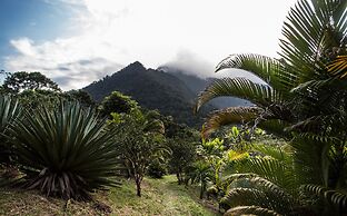 Omega Tours Adventure Company & Eco Jungle Lodge