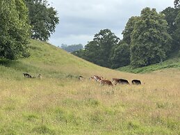 Bronfelin & Troed-y-rhiw Holiday Cottages