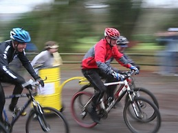 Bronfelin & Troed-y-rhiw Holiday Cottages