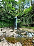 Bronfelin & Troed-y-rhiw Holiday Cottages