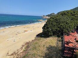 Marine Blue Yakushima