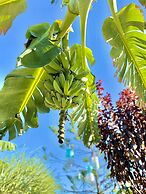 Kayezta Hotel Alacati