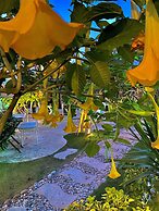 Kayezta Hotel Alacati