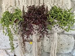 Kayezta Hotel Alacati