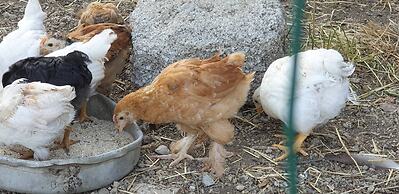 Agriturismo Mare e Monti