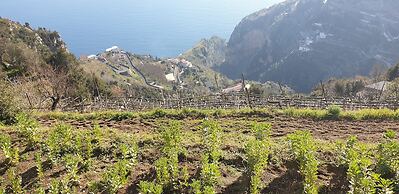 Agriturismo Mare e Monti