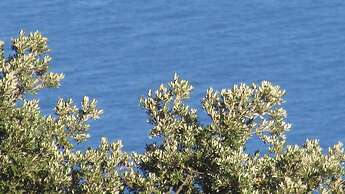 Agriturismo Mare e Monti