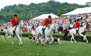 Reserve by Nashville Vacations