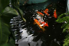 Hersher Studios & Apartments