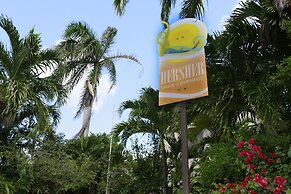 Hersher Studios & Apartments