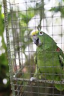 Hersher Studios & Apartments