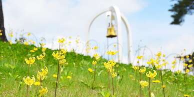 Hotel Abest Hakuba Resort