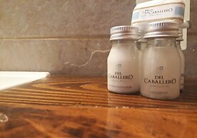 Del Caballero Castillo Hotel