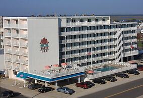 Lotus Inn