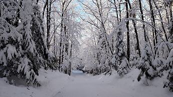 Lakewoods Resort & Lodge