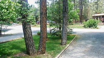 Whispering Pine Cabins