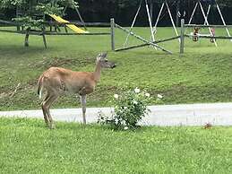 Daniel Boone Motor Inn