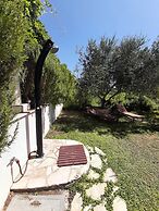 Apartments Trstenica