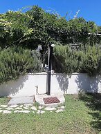 Apartments Trstenica