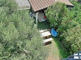 Apartments Trstenica