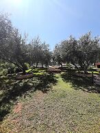 Apartments Trstenica