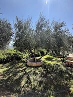 Apartments Trstenica