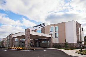 Springhill Suites Somerset Franklin Township