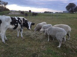 Prom Coast Holiday Lodge