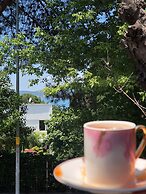 Nizam Butik Otel Buyukada