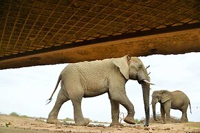 Last Word Madikwe