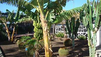 Apartamentos Los Cactus