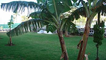 Apartamentos Los Cactus