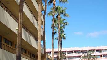 Apartamentos Los Cactus