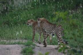 Kusudalweni Safari Lodge and Spa