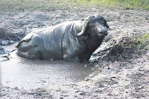 Kusudalweni Safari Lodge and Spa