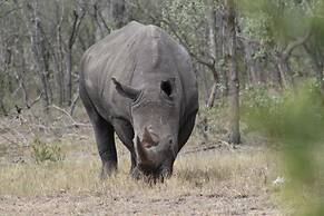 Kusudalweni Safari Lodge and Spa