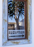 Organic Stay Guesthouse