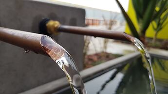 Organic Stay Guesthouse